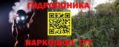 амф Краснознаменск