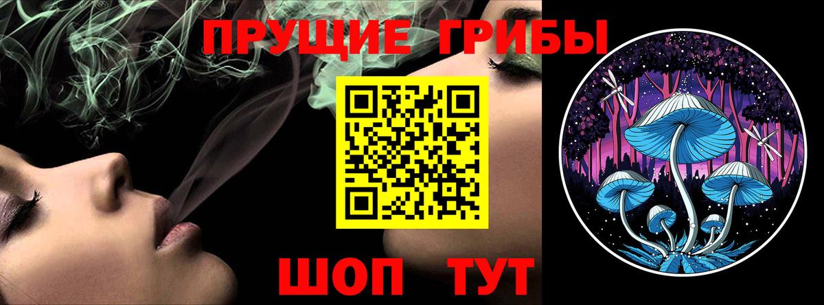 Псилоцибиновые грибы Psilocybe Шали
