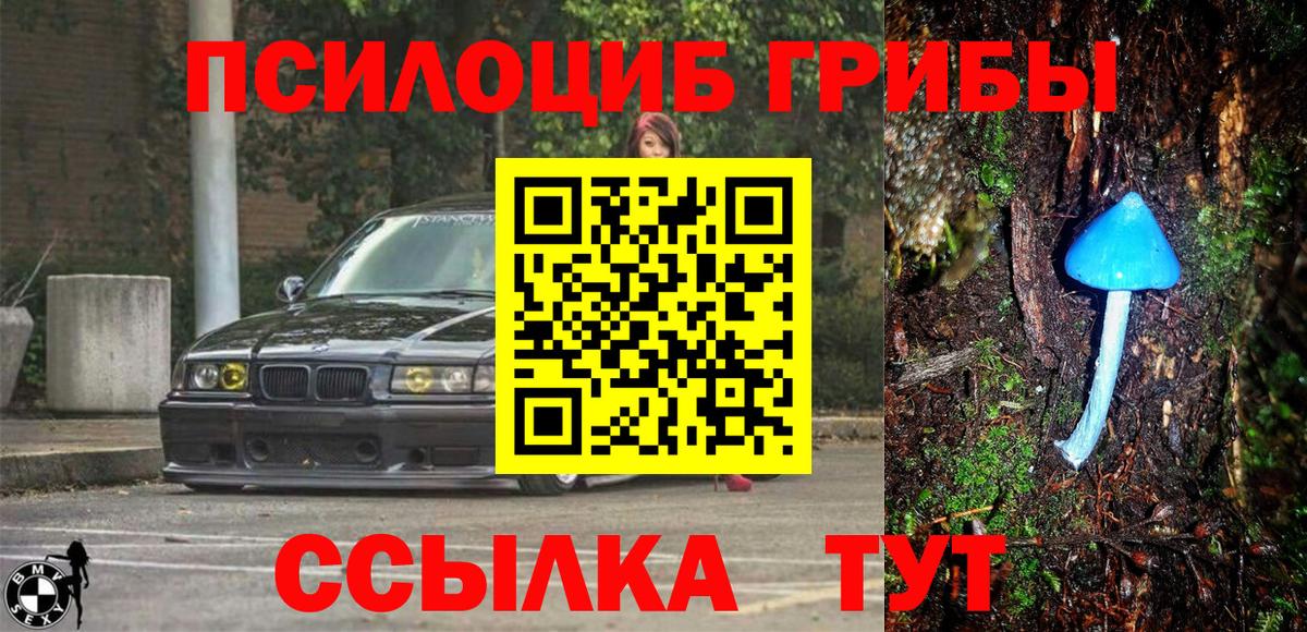 Шали  Галлюциногенные грибы мухоморы  Вход с VPN 